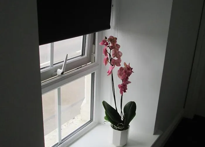 イン The North Pole Drumfree